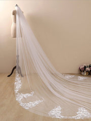 3D Flower Lace with Rhinestones Cathedral Veil Bridal Veil Wedding Veil