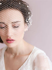 Vintage Ivory Mesh Birdcage Wedding Veils with Pearls