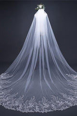 Vintage Long Tulle With Appliques Wedding Veil
