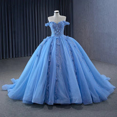 Quinceanera Dress Sequins Ball Gown Sweetheart Lace Up Appliques
