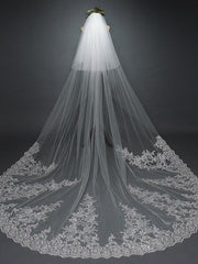 Ivory Lace Cathedral Veil with Blusher Long Wedding Veil