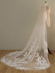 Ombre Champagne Floral Lace Ivory Cathedral Veil with Blusher Bridal Veil Wedding Veil