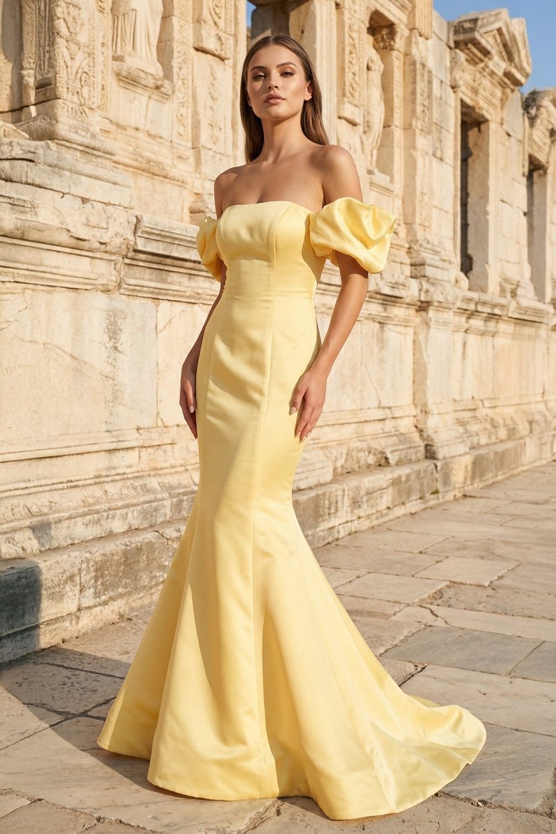 Yellow Satin Strapless Mermaid Pleated Long Formal Prom Dress with Sleeves